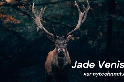 Jade Venison